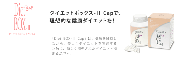 �_�C�G�b�g�{�b�N�X2 �J�v�Z��