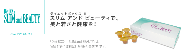 �_�C�G�b�g�{�b�N�X2 �X���� �A���h �r���[�e�B�[